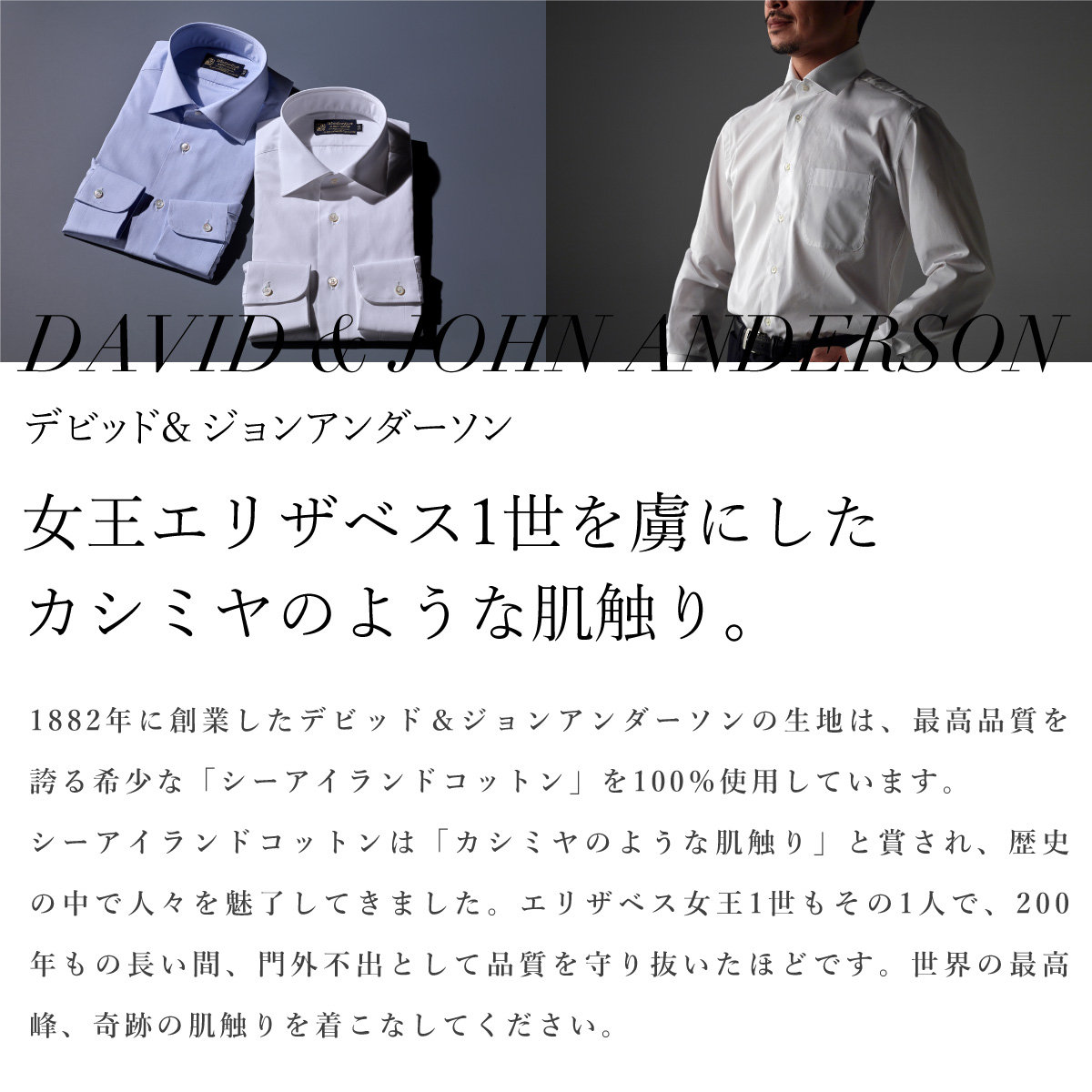 アウトレット★pantone コットンシャツドレス ne Quittez pas｜コットン ポプリン ビオラ プリント ビッグ